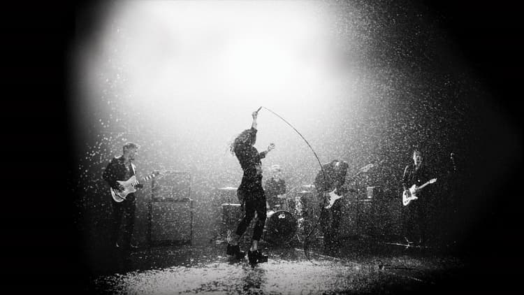 Marmozets